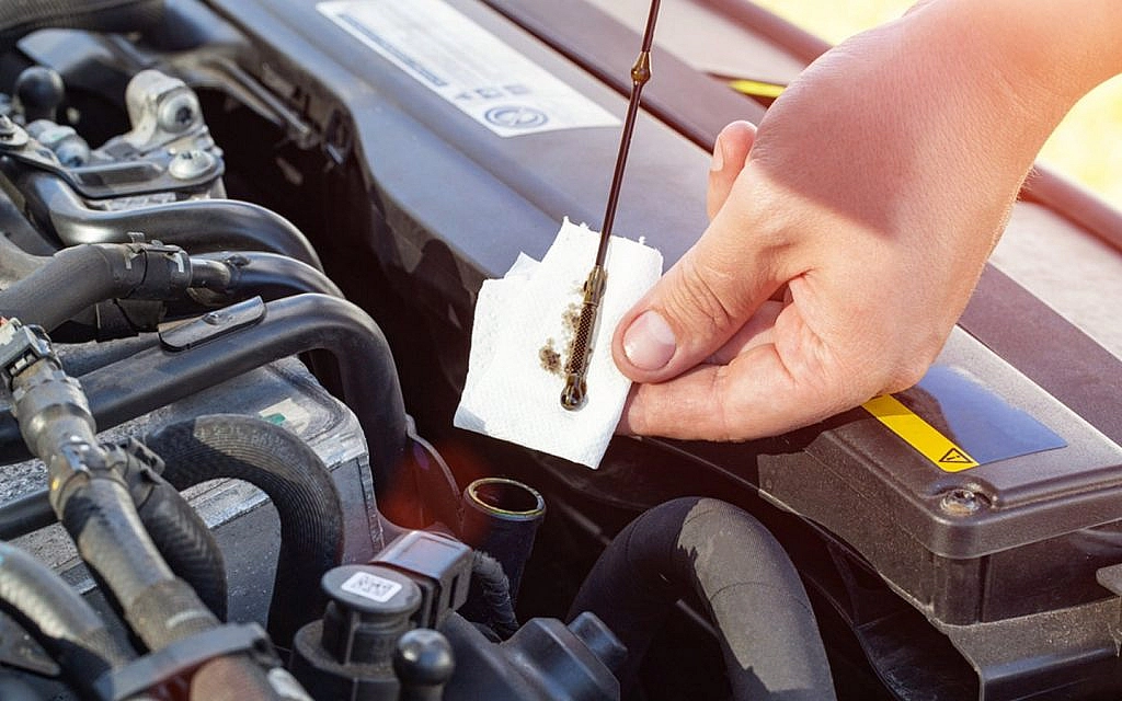 Fdsgasdfhsfhasdfhadfhad