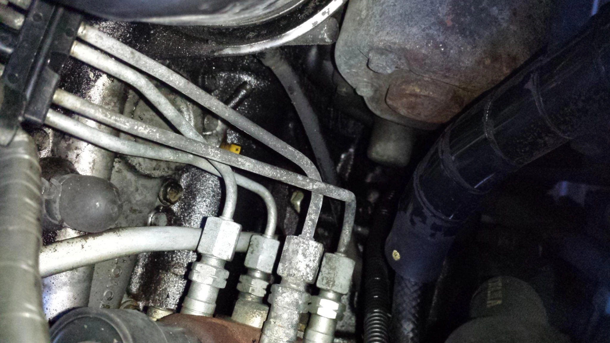 111111člfghčlafhlčaflčhadfh